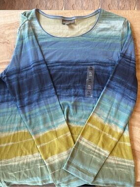 NWT STYLE & CO WOMENS STRIPED OMBRÉ TOP 💚🩵🧡
SZ PETITE LARGE
LONG SLEEVED